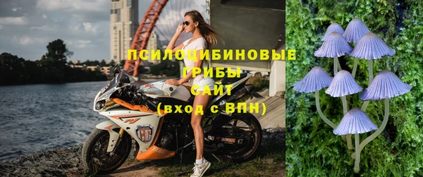 гашик Алексеевка