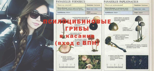 гашик Алексеевка