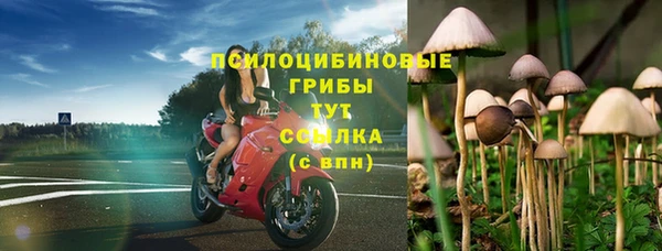 кокс Алексин
