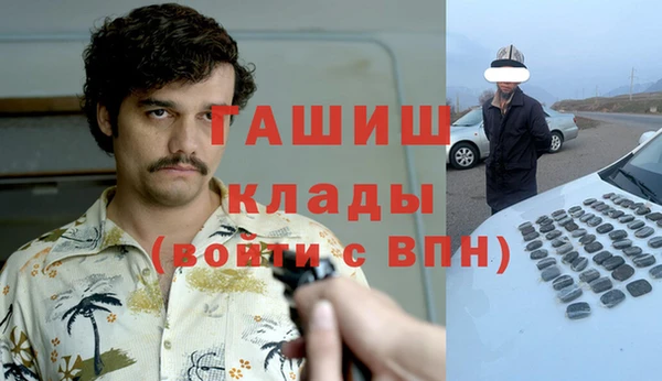 гашик Алексеевка