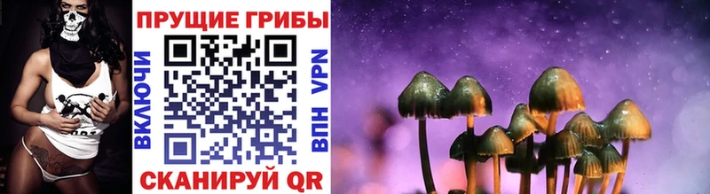 Псилоцибиновые грибы ЛСД Урай