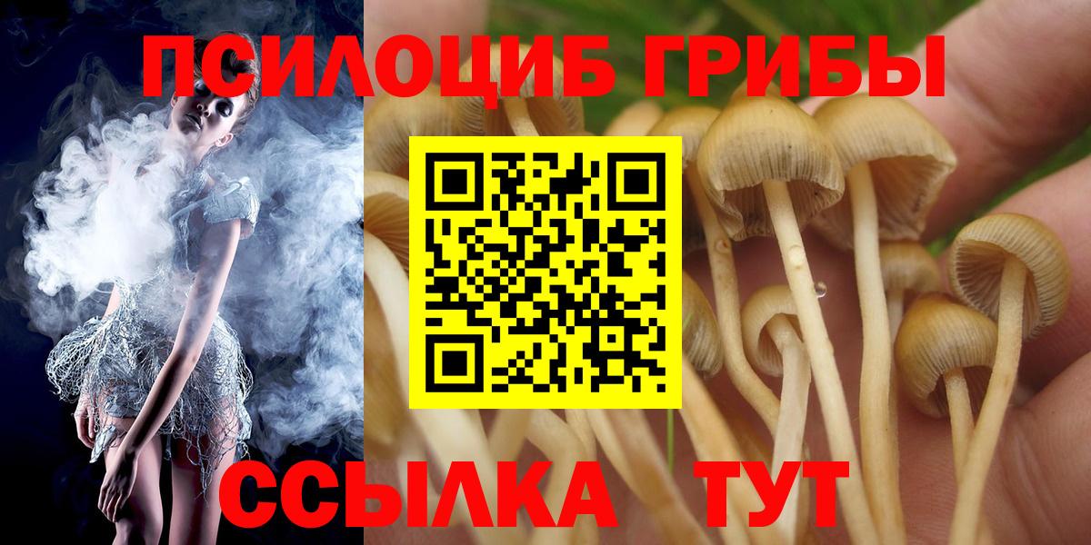 купить  сайты  Галлюциногенные грибы Magic Shrooms  Вход с VPN  Урай 